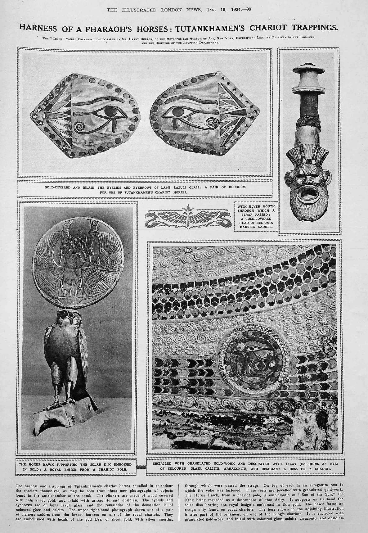 tut horse harness